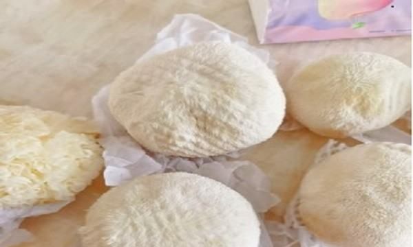 新鲜猴头菇的食用方法,新鲜白色的猴头菇的吃法和注意图7