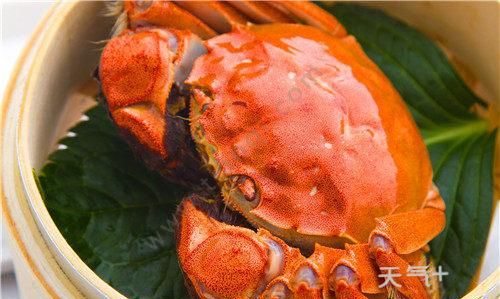 螃蟹有血液煮熟什么颜色,螃蟹煮熟前是什么颜色图5