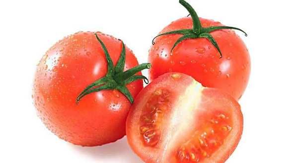 温室番茄韭菜一年两茬栽培技术是怎样的,菜农种植番茄一年可以种植几茬图8