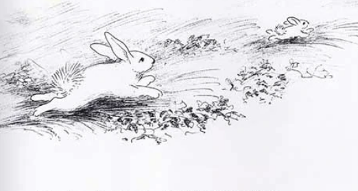 逃家小孩是一本什么样的书,逃家小兔是什么书籍类别图1