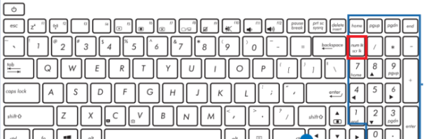 数字锁定键是哪个键,笔记本电脑键盘数字键怎么解锁图1