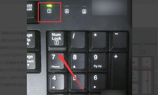 数字锁定键是哪个键,笔记本电脑键盘数字键怎么解锁图5