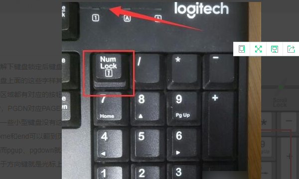数字锁定键是哪个键,笔记本电脑键盘数字键怎么解锁图6
