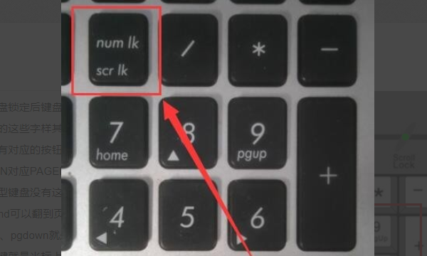 数字锁定键是哪个键,笔记本电脑键盘数字键怎么解锁图7