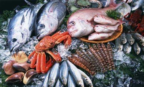 鱼类营养学方面的特点有哪些,鱼类食物营养学上的特点图1