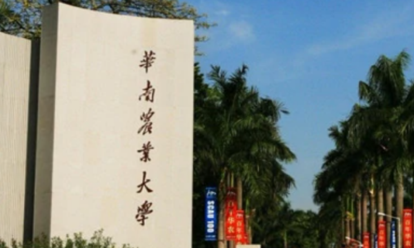 广东省内的大学有哪些,广东省有哪些大学图3