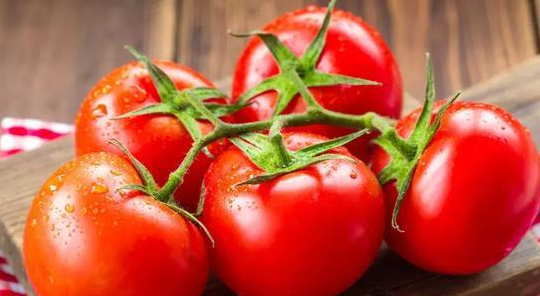 番茄是嫌光种子,种植西红柿底肥需要哪些肥料图2