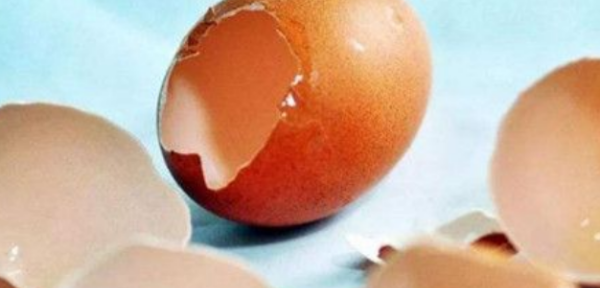 蛋壳属于厨余,蛋壳属于厨余垃圾图1