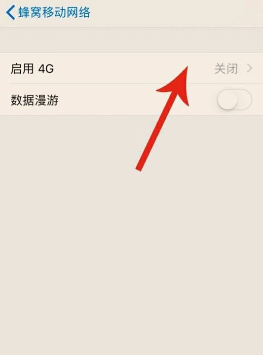 苹果手机lte怎么改成4g,卡贴机iphone右上角显示lte怎么让它变成4G图7