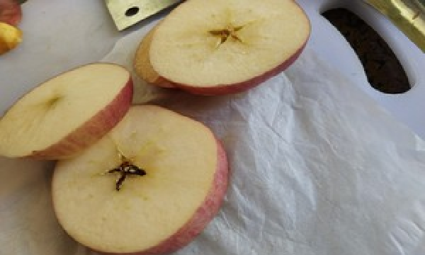 苹果的干制怎样烘制,苹果干最简单的做法无烤箱图2