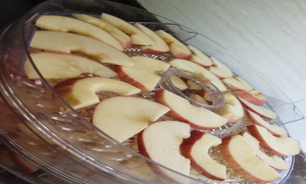 苹果的干制怎样烘制,苹果干最简单的做法无烤箱图4