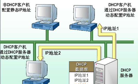 wifi静态和dhcp有什么区别,路由器dhcp静态ip分配什么意思图1