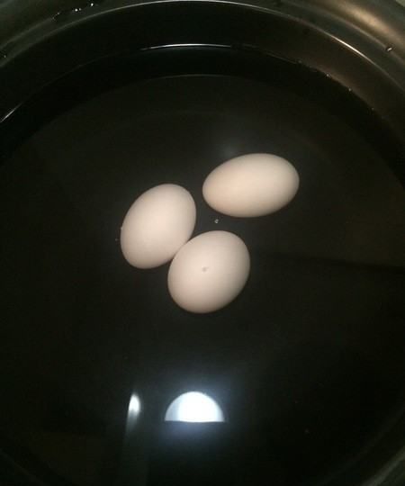 鸽子蛋煮多长时间,鸽子蛋要煮多久才能煮熟图1