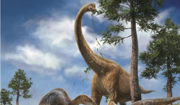 马门溪龙和腕龙的区别,恐龙有哪几种图1