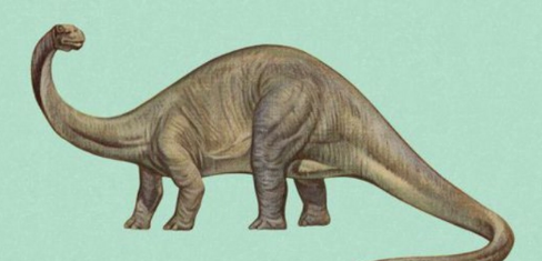 马门溪龙和腕龙的区别,恐龙有哪几种图2