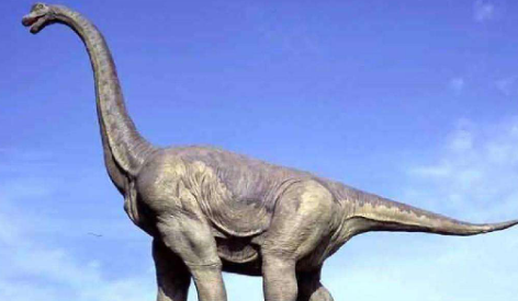 马门溪龙和腕龙的区别,恐龙有哪几种图3