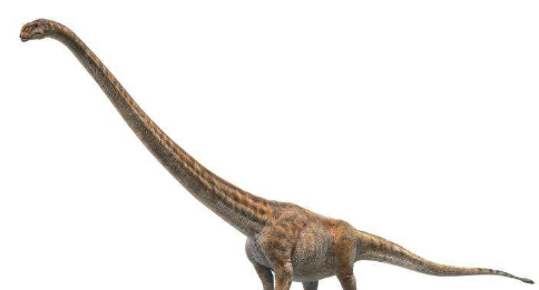 马门溪龙和腕龙的区别,恐龙有哪几种图4