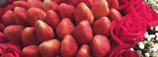 草莓花束的寓意是什么,9颗草莓花束的寓意是什么图2