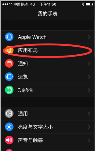 watchapp是干嘛的,iPhone上的Apple Watch应用怎么用图5