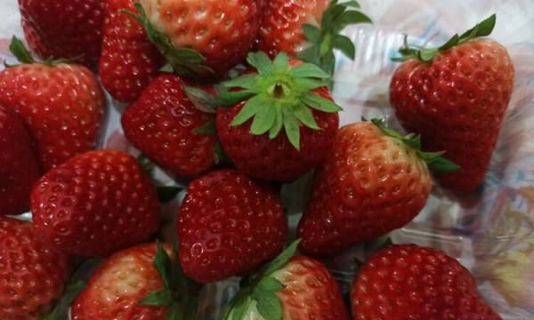 草莓存放需要放冰箱,草莓能放冰箱里冷藏 保鲜几天图3