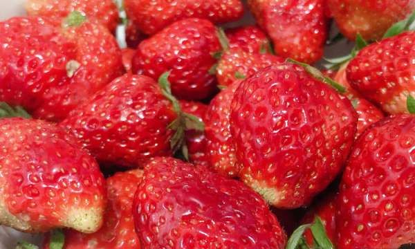 草莓存放需要放冰箱,草莓能放冰箱里冷藏 保鲜几天图5