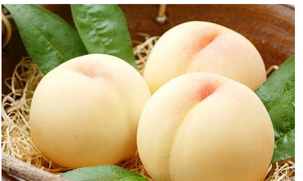 丹东秋白桃几月份成熟,白桃和水蜜桃的区别在外观图1