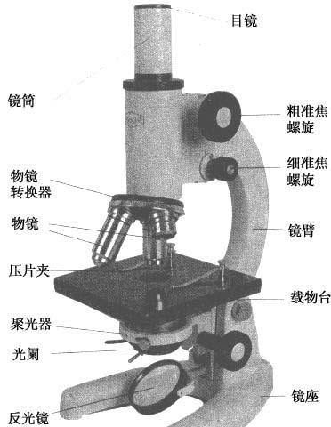 光学显微镜是什么东西,光学显微镜的介绍大全20字图1