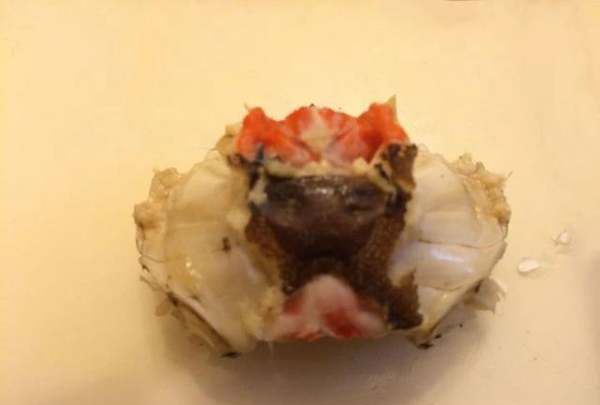 怎么样吃蟹钳里面的肉,螃蟹怎么吃法是正确的图11