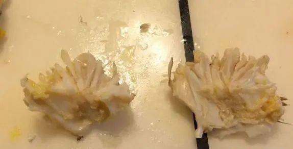 怎么样吃蟹钳里面的肉,螃蟹怎么吃法是正确的图14