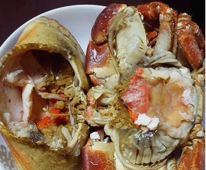 首长黄道蟹怎么吃,黄道蟹和面包蟹的区别图4