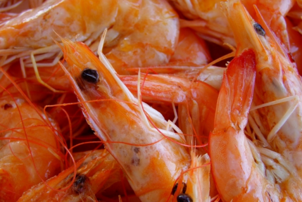 红毛虾怎么做好吃,油炸小红虾怎么做比较酥脆图3