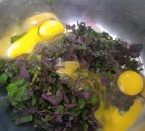 紫苏怎么吃好吃又简单,紫苏叶的家常做法大全图10
