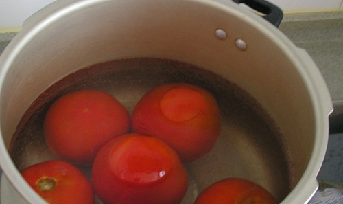 西红柿酱怎么做,怎样制作西红柿酱图2
