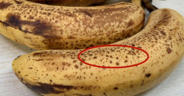 发黑的香蕉能吃,香蕉里面黑了还能吃图2