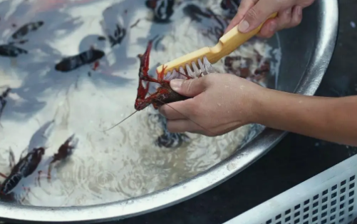 大量小龙虾怎么清洗,小龙虾如何清洁图11