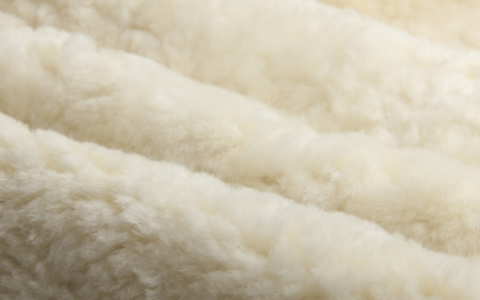 巴素兰羊毛是什么意思,巴素兰羊毛是什么东西