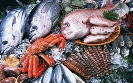鱼类营养学方面的特点有哪些,鱼类食物营养学上的特点