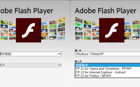 activex flash和ppapi flash的区别,Adobe Flash Player 6 Activex和NPAPI有什么区别