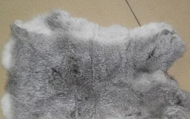 如何晾晒和保存兔皮,刚剥下来的兔皮要怎么处置才能用