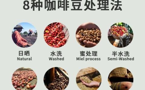 咖啡豆的加工方法有几种,咖啡豆的处理方法有哪些