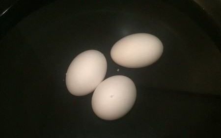 鸽子蛋煮多长时间,鸽子蛋要煮多久才能煮熟