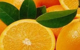 橙子能放冰箱保存,新鲜橙子可以放冰箱保存