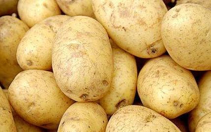 翻新土豆的识别方法,爱吃土豆的人注意了什么问题