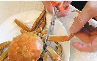 螃蟹怎么吃才好吃,螃蟹怎么吃法是正确的