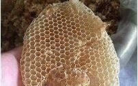 蜂蜜膏怎么做的,怎样做蜂蜜膏果冻