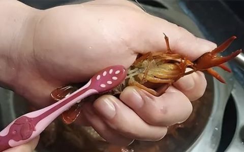 小青虾怎么炒才好吃,小青龙虾的做法