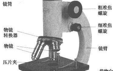 光学显微镜是什么东西,光学显微镜的介绍大全20字