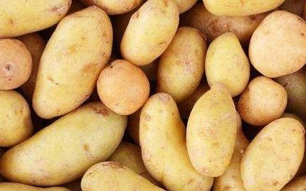 炸土豆创意名字,最有创意的菜名关于土豆的名字