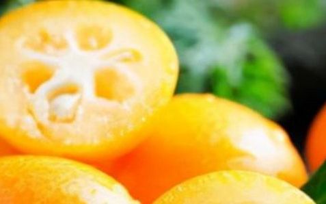 金桔和桔子有什么区别,橘子和金橘是一种水果
