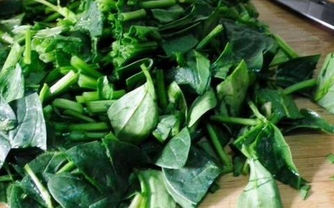 菠菜是发物癌症病人能吃,属于发物的蔬菜有哪些